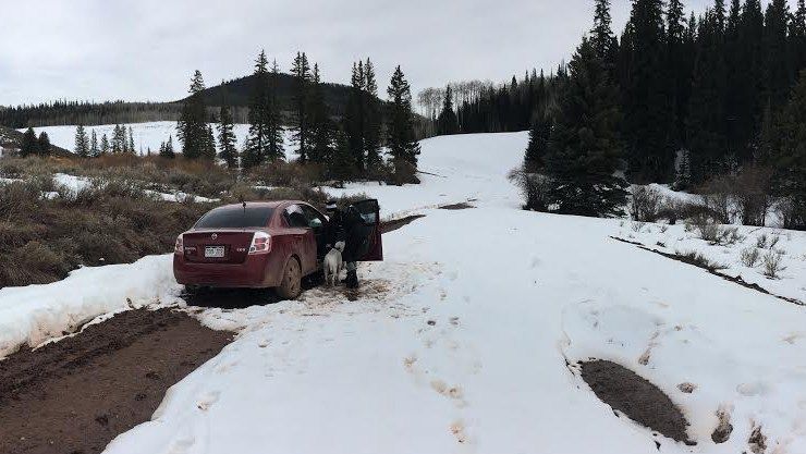 Ruby Stein’s 2007 Nissan Sentra got stuck in the mud 20 miles up an unpaved, steep mountain road south of Gypsum. DP photo
