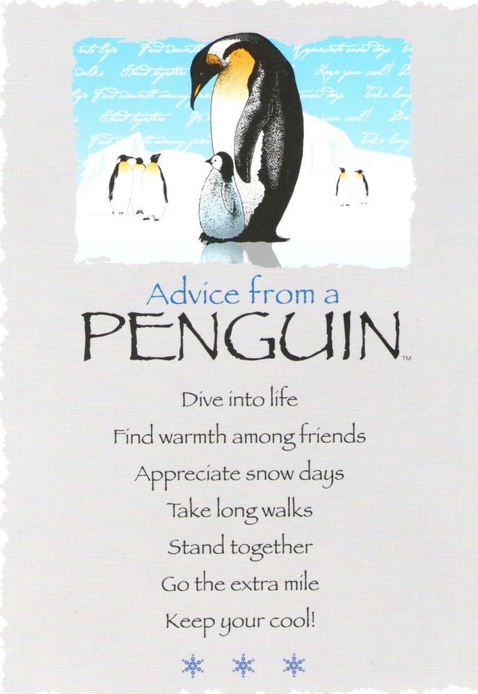 Advice from a Penguin.jpg