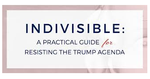 Trump Resistacne 3.png