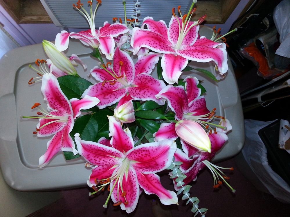 20130522_103808.jpg