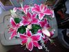 20130522_103808.jpg