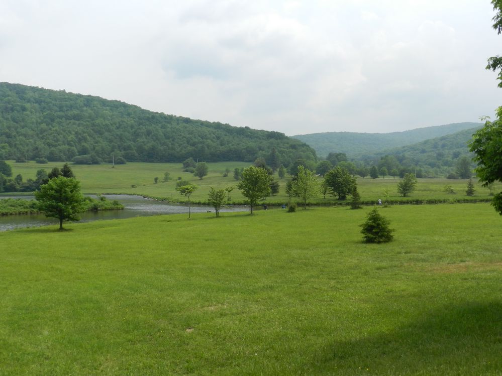173.JPG