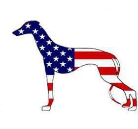 Red White Blue Greyhound.jpg