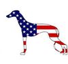 Red White Blue Greyhound.jpg