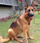 Nicky's 3rd Birthday_2.jpg