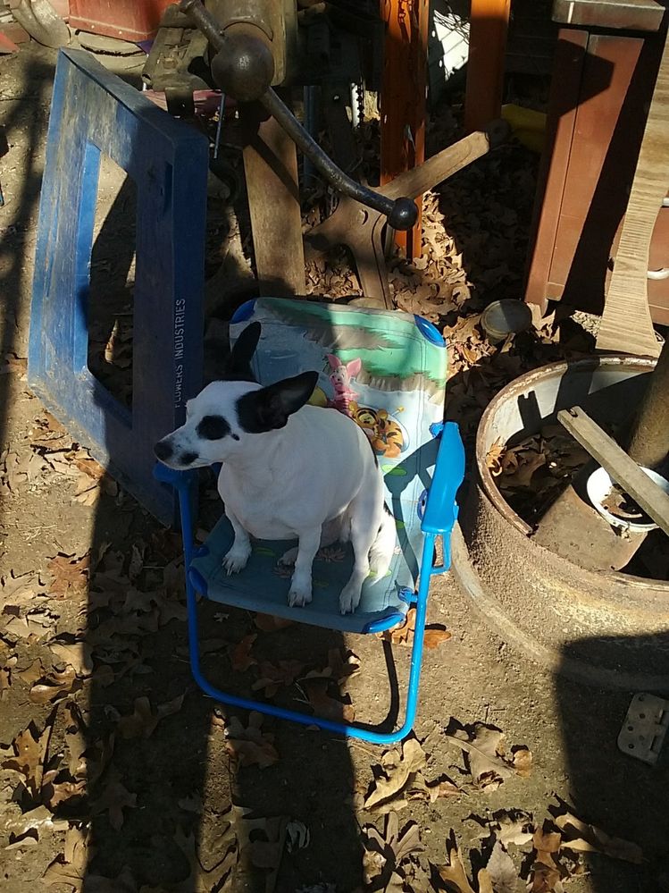 Zoey in her own little chair