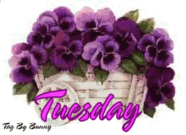 tuesday16.gif