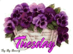 tuesday16.gif