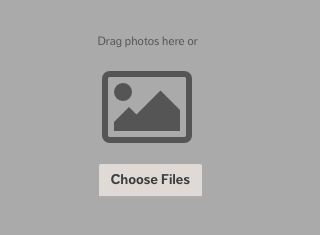 Photo Feature Drag and Drop or Choose File functions