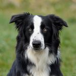 Profile (sandra9663)