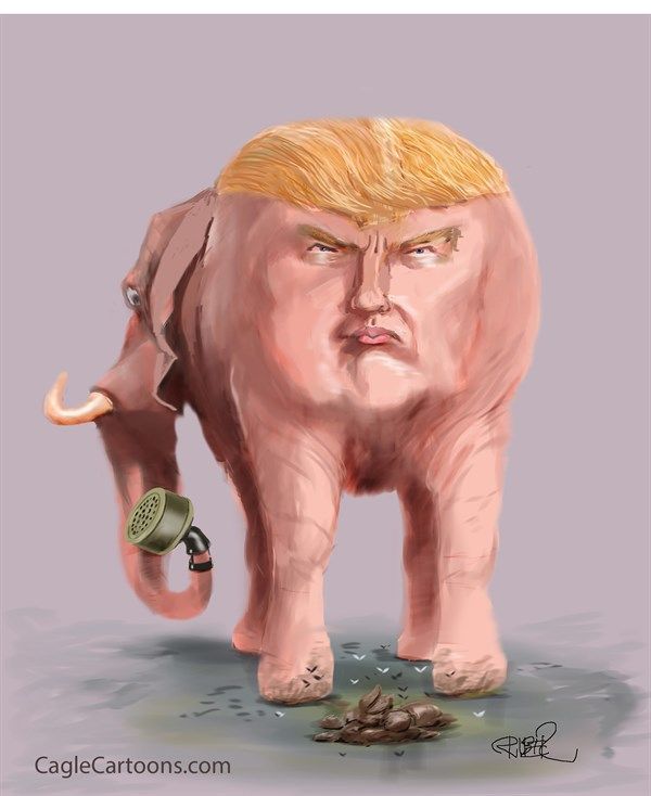 54cdc7840c725c84cdd0bd6b52c73b6f--donald-trump-images-trump-funny.jpg