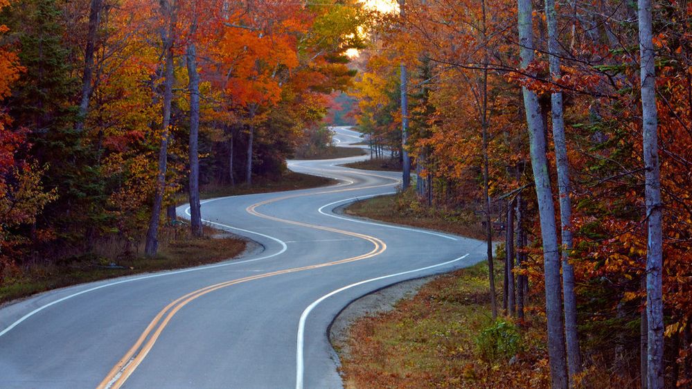 windy fall road.jpg