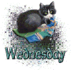 wednesday59.gif