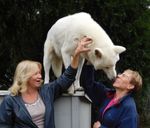 A Wolf Kissed Me & I loved It - Cropped.jpg
