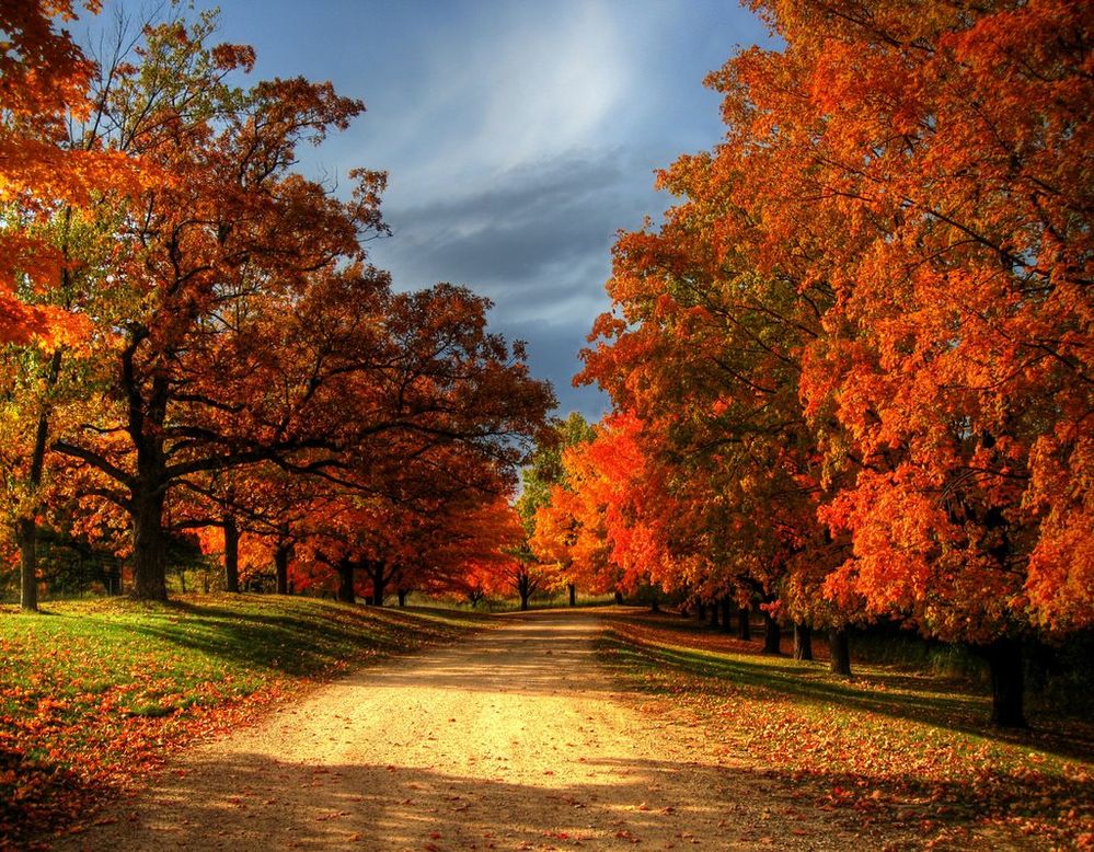 fall road.jpg
