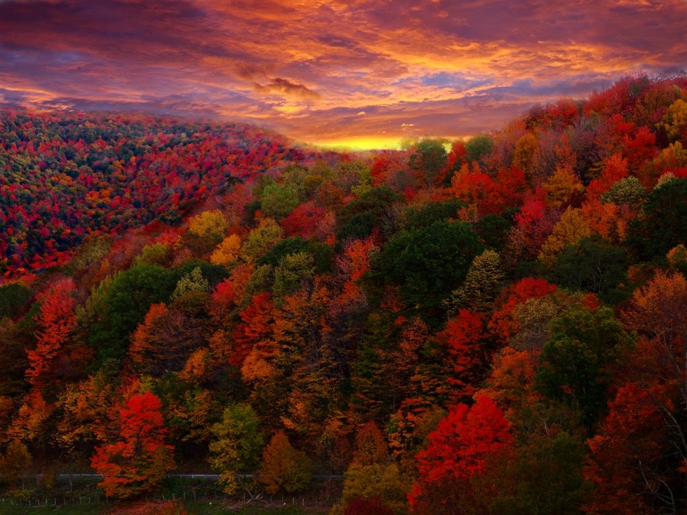 fall sunrise.jpg