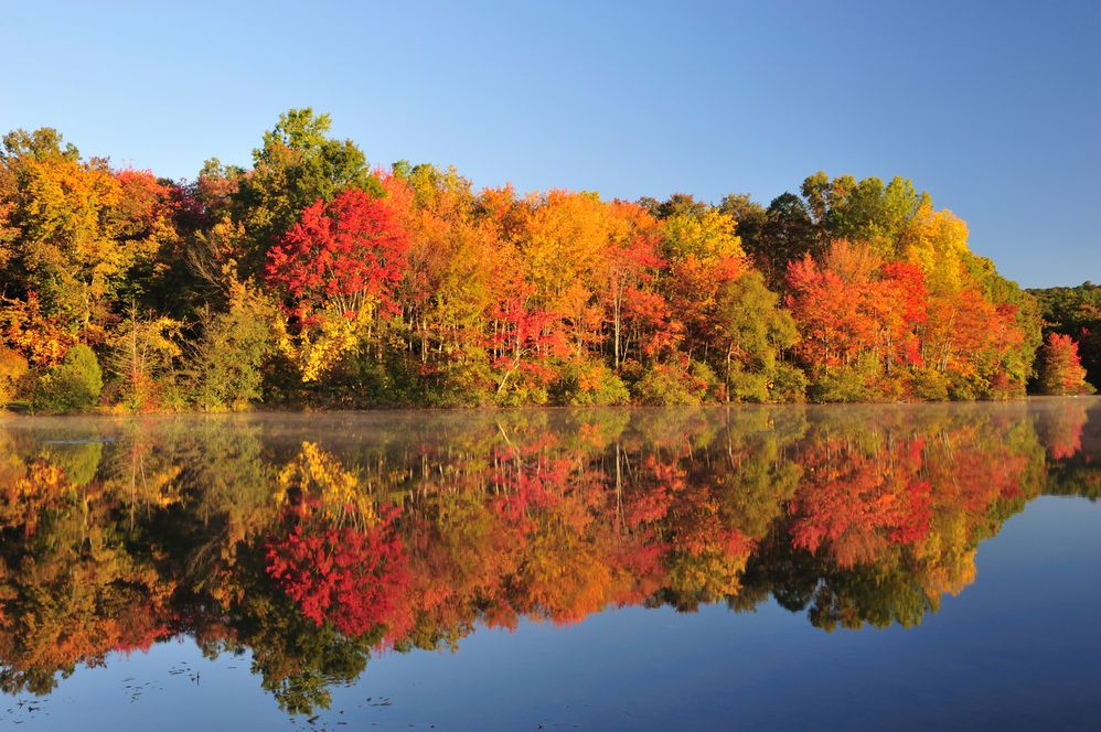 Fall-Foliage-Color.jpg