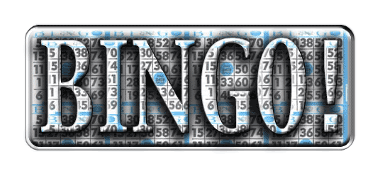BINGO-1.gif
