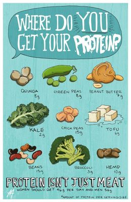 where-do-you-get-your-protein.jpg