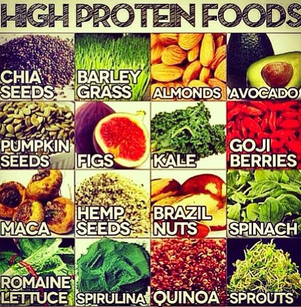  vegan protein sources.jpg