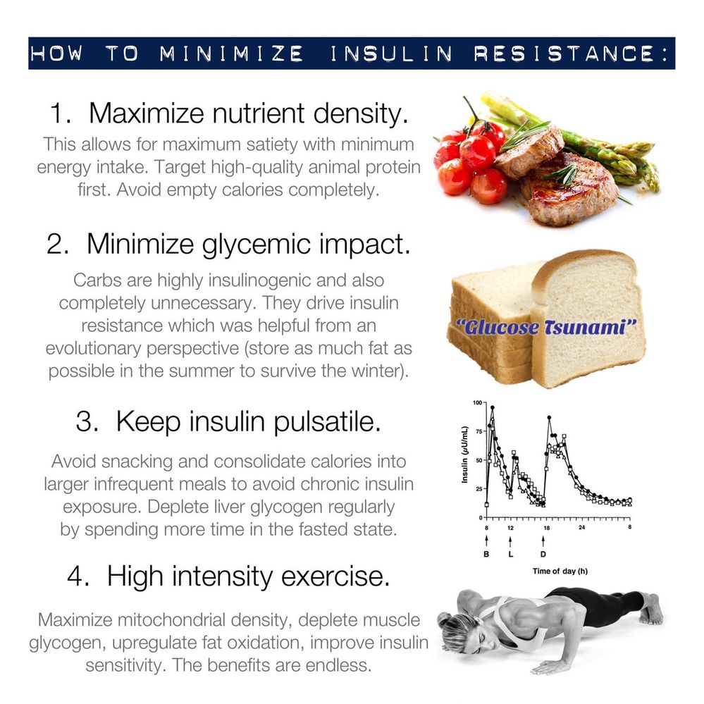 how to minimize insulin resistance.jpg