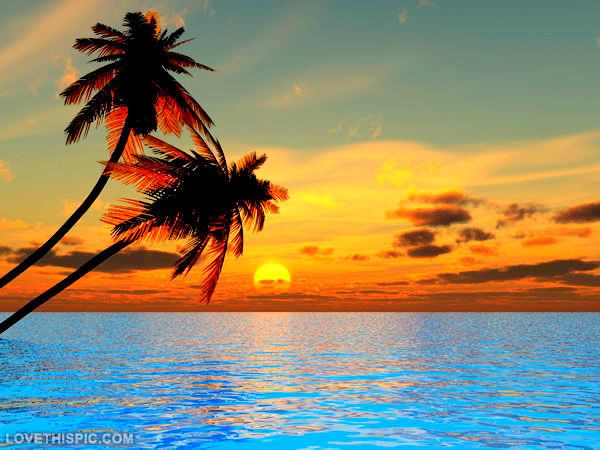 ocean_sunset.jpg