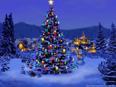 christmas-tree-snow-naturewallpaperA.jpeg