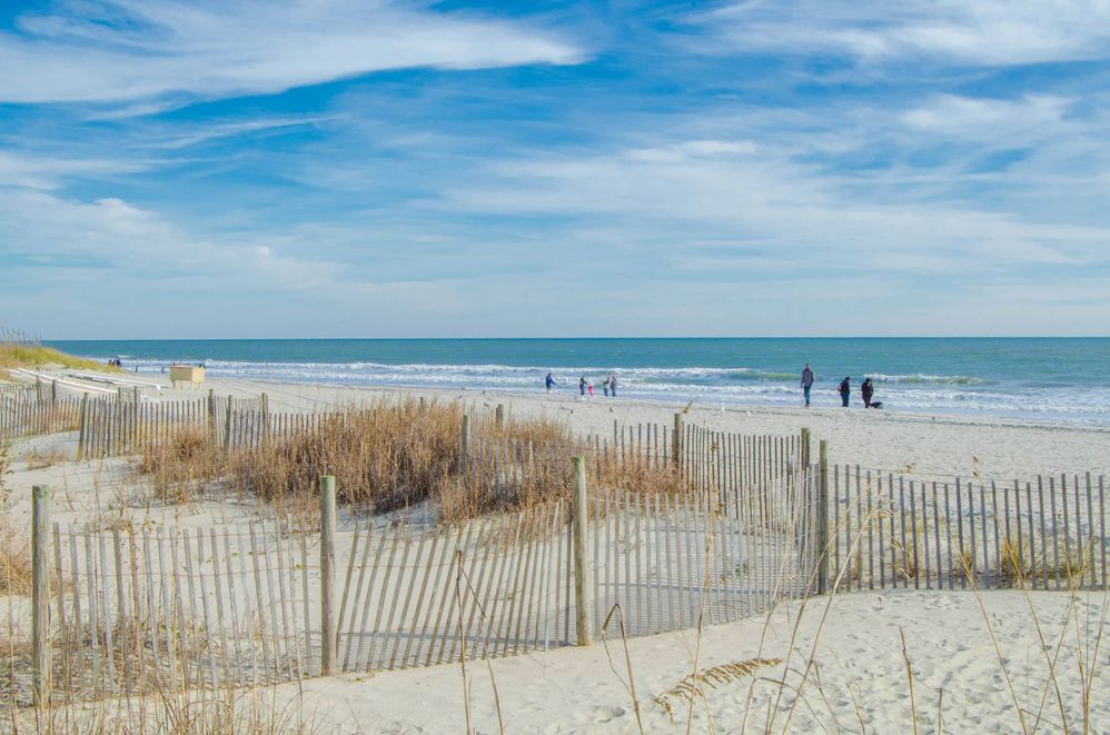 Beach Cove Beach.jpg