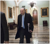 Schumer Inspiration.png