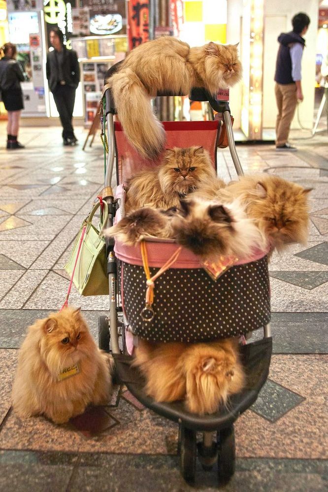 mall.jpg
