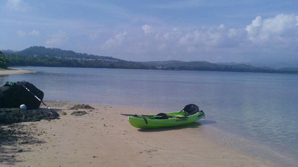 IMG00530.JPG