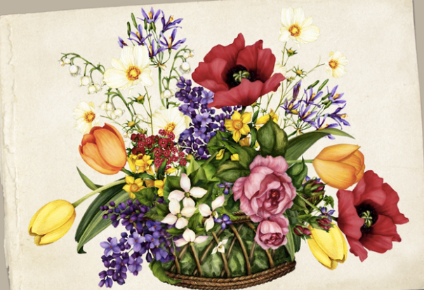 Screen Shot 2018-02-24 at 4.39.04 PM.png