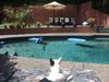 Rockle poolside.JPG