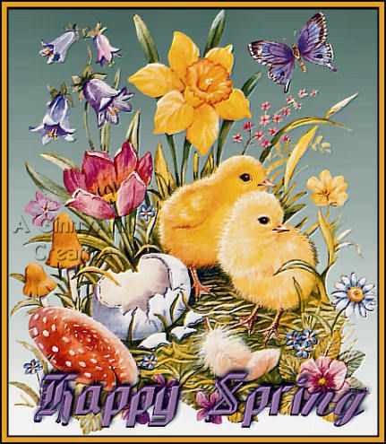 happySpring151.jpg