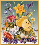 happySpring151.jpg