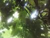 0808111357.jpg