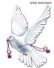 PEACE