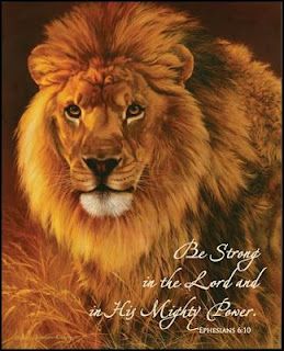 Strong Lion.jpg