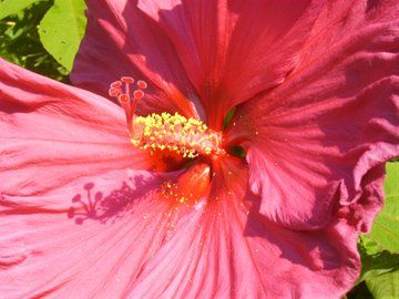 7aa0b7d5-d8f8-449c-b0be-1a52229a35f6_P4Photo.jpg
