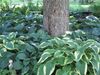 100_1452.JPG