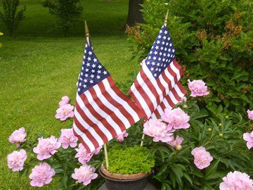 flags.jpg
