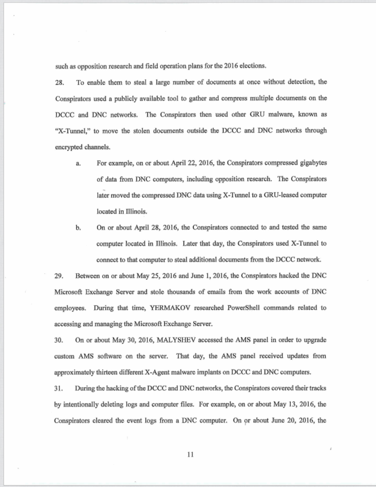 Mueller 11.png
