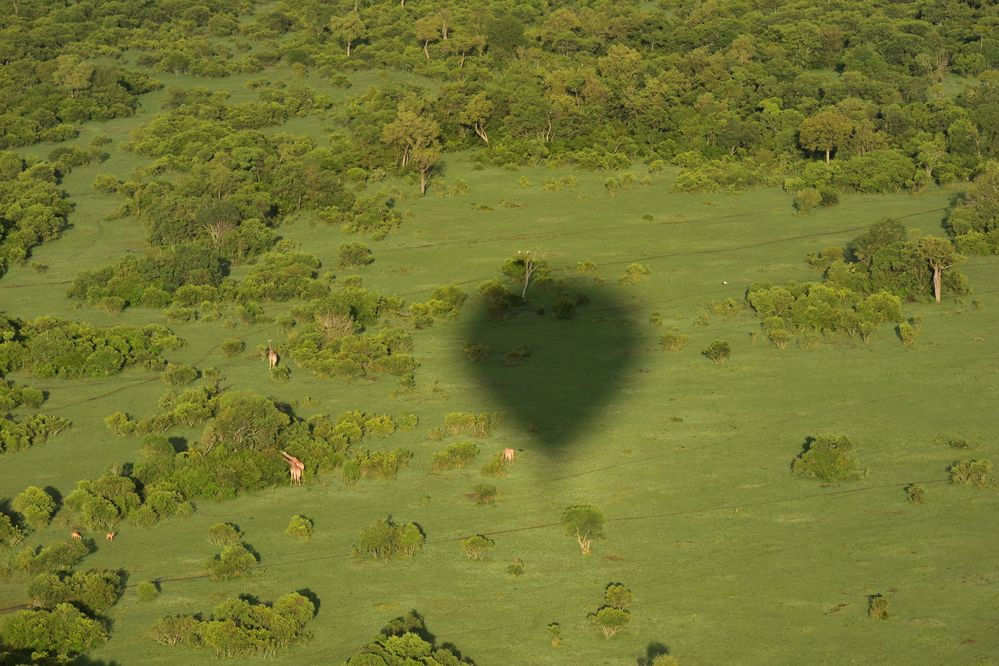 Maasai Mara plains