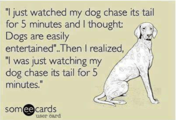 Dog Chasing Tail 1.png