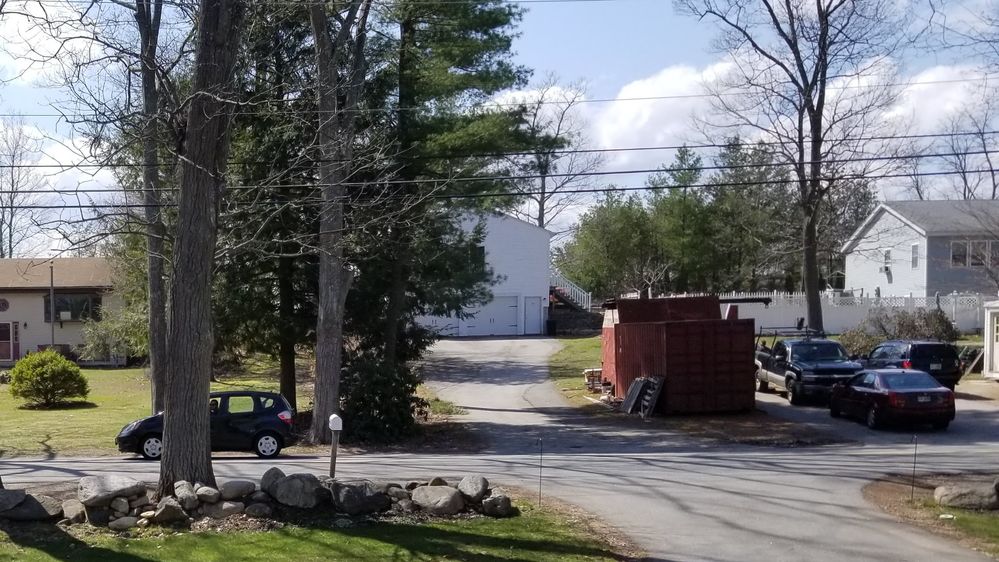 Trump Cult Car and driver from april.jpg