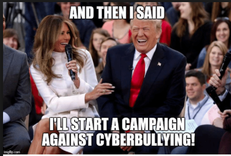 Melania Cyber Bullying.png
