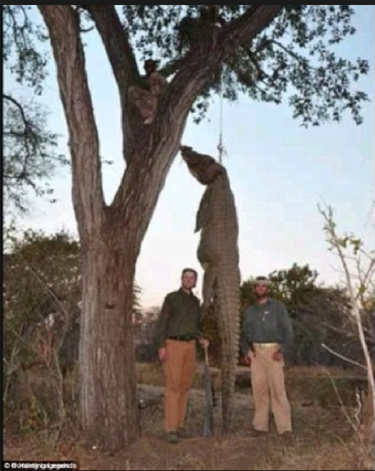 White Trump Boys - South Africa