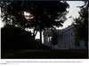 White House Flag.png