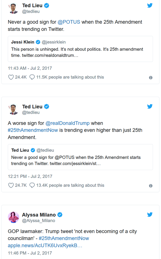 25 ammendment A.png