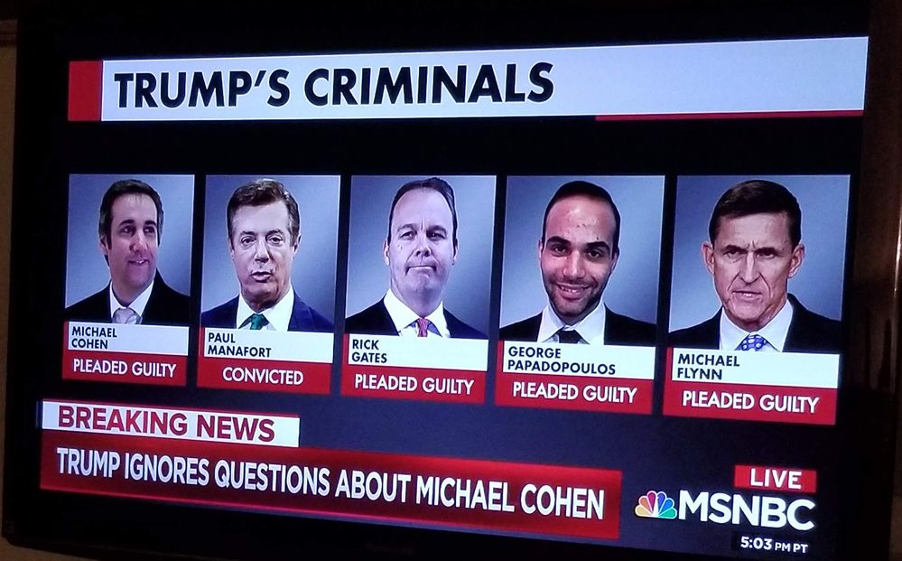Trumps Criminal Conspiracy.jpg